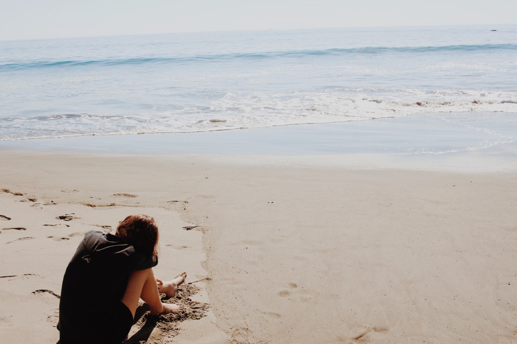 We, the Wild&nbsp;Things