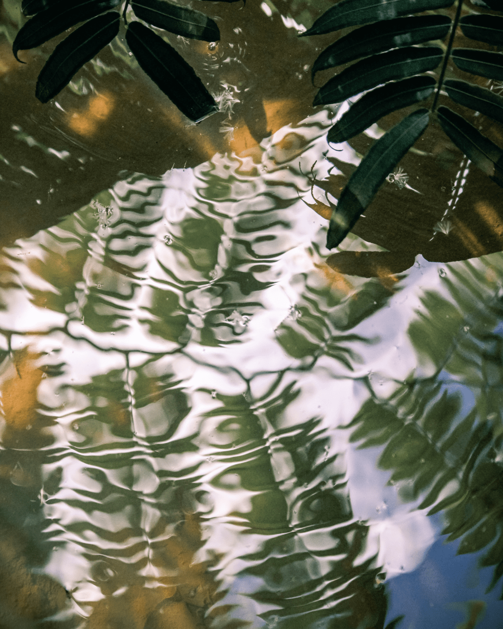 Nightmare on Elm Street&nbsp;(1984)