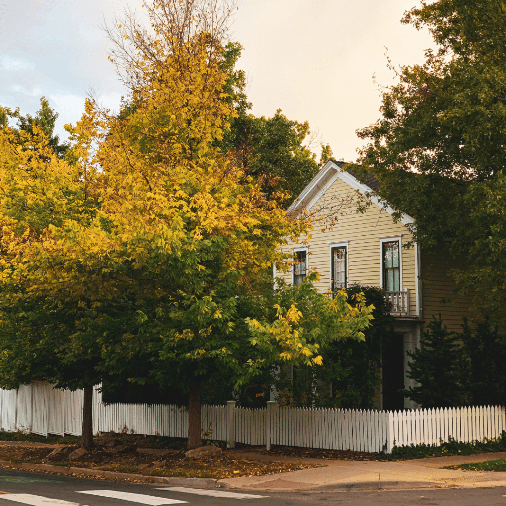 Sorority House Party | Sorority Row&nbsp;(2009)