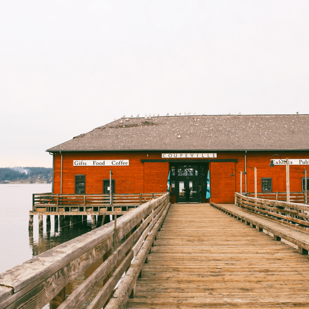 Practical Magic (1998) 